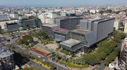 搭建平臺 編制目錄 廈門持續優化政策促進軟件產業高質量發展